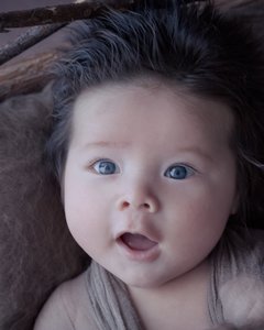 Bodo